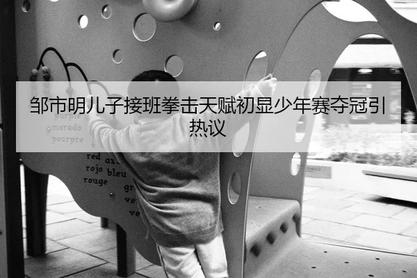 邹市明儿子接班拳击天赋初显少年赛夺冠引热议