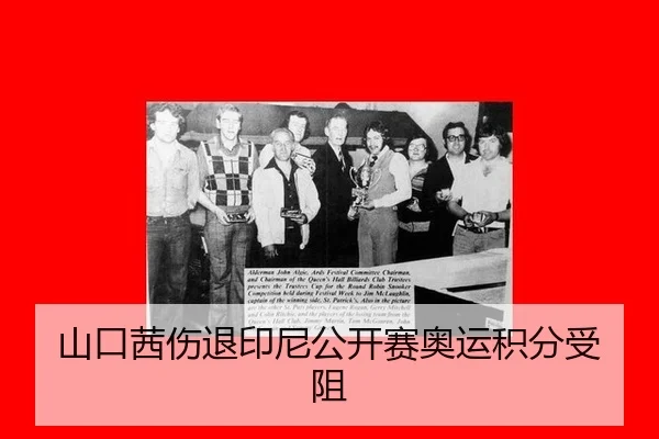 山口茜伤退印尼公开赛奥运积分受阻