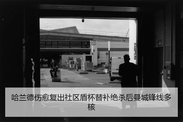 ha-lan-de-shang-yu-fu-chu-she-qu-dun-bei-ti-bu-jue-sha-hou-man-cheng-feng-xian-duo-he-2-616.jpg